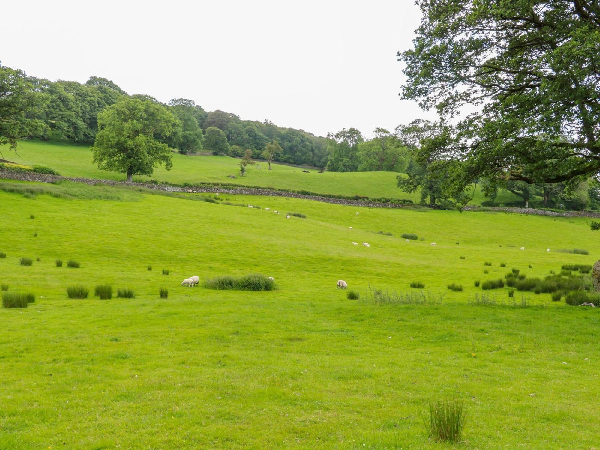 Holme Ground Cottage Coniston Exterior photo